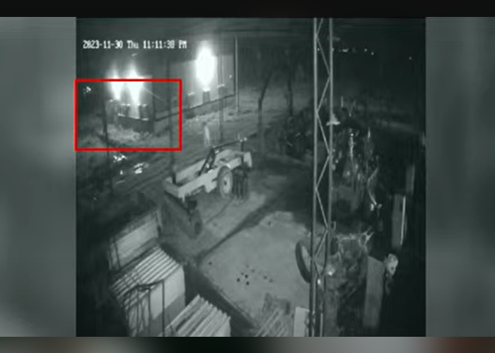 බීජ ගොවිපලට ආ අලියා(VIDEO)