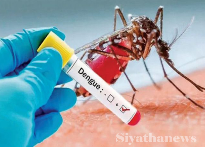 බස්නාහිර ඩෙංගු රෝගීන් සංඛ්‍යාව තුන් ගුණයකින් ඉහළට