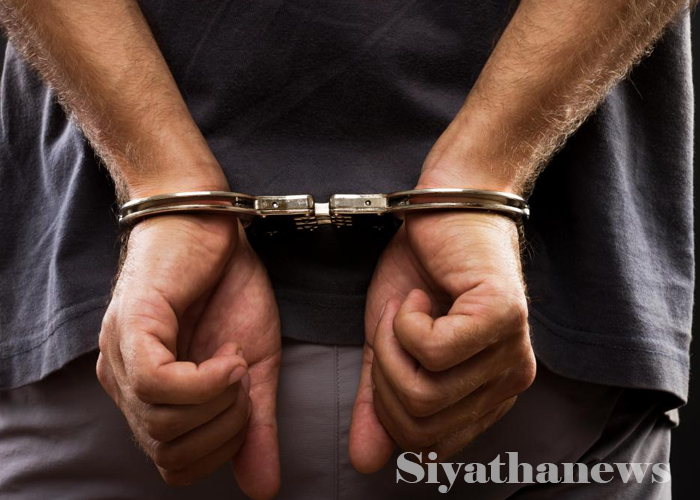 ගජමුතු 04 ක් සමඟ සැකකරුවන් 4ක් අත්අඩංගුවට