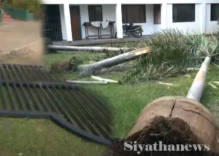 මහියංගණයේ පාසල් දෙකකට වන අලි ප්‍රහාර(VIDEO)