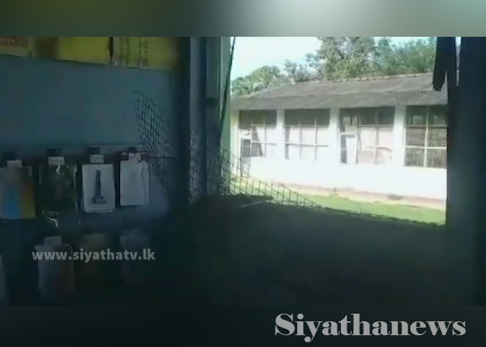 දිඹුලාන ගම්මානයට වන අලි තර්ජන – පාසල් ගොඩනැගිලිවලටත් හානි(VIDEO)