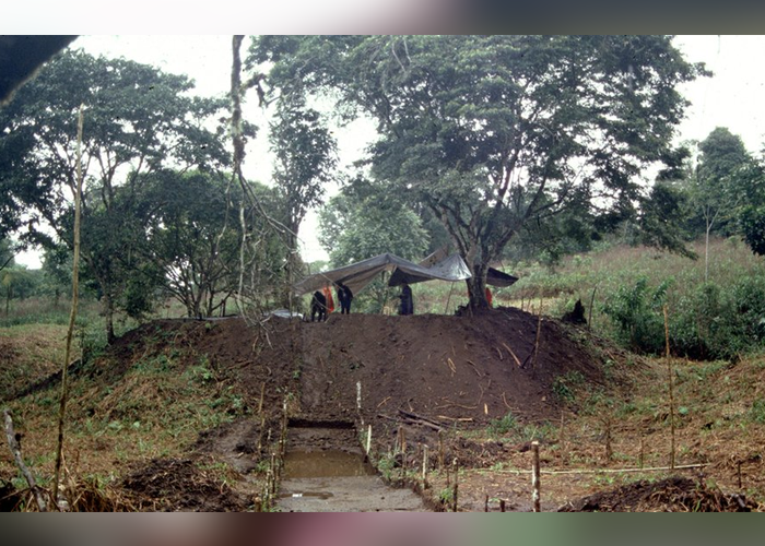 ඇමසන් වනාන්තරයෙන් පෞරාණික නගරයක නටබුන්