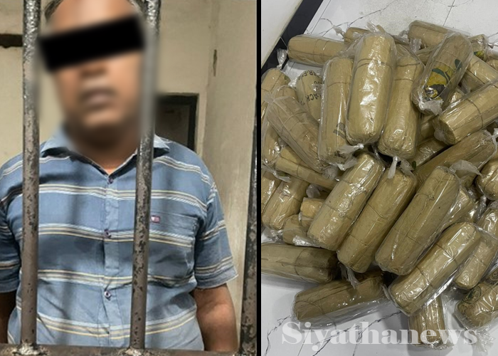 තණමල්විල නිවසකින් ගංජා කිලෝ 31ක් අත්අඩංගුවට