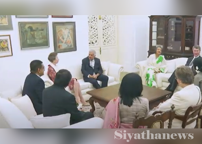 ඈන් කුමරිය ජනපති හමුවෙයි (VIDEO)