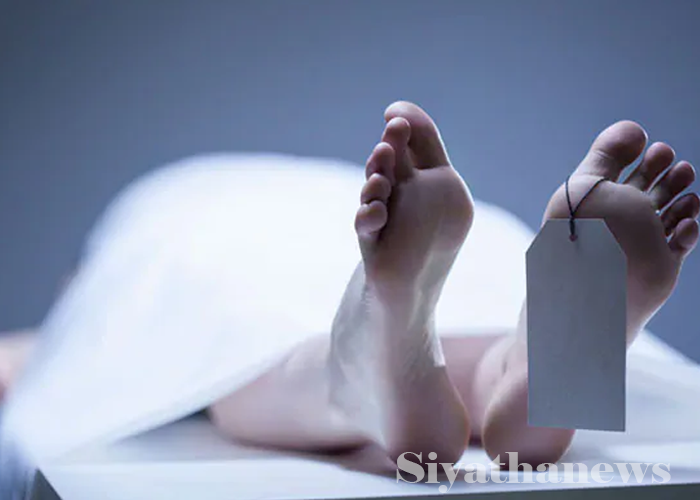 ලොරි රථ අනතුරකින් පදිකයෙක් මරුට