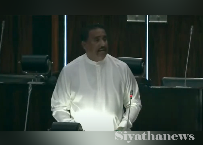 කඩවුණු වරප්‍රසාද ගැන කියන මන්ත්‍රී රෝහිත (VIDEO)