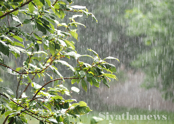 ප්‍රදේශ කිහිපයකට වැසි