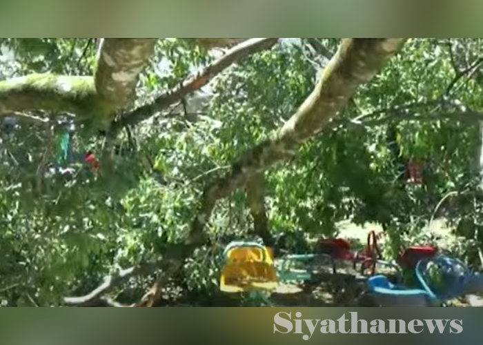 ගම්පොළ අනතුරින් තවත් දරුවෙකුට අසාධ්‍යයි