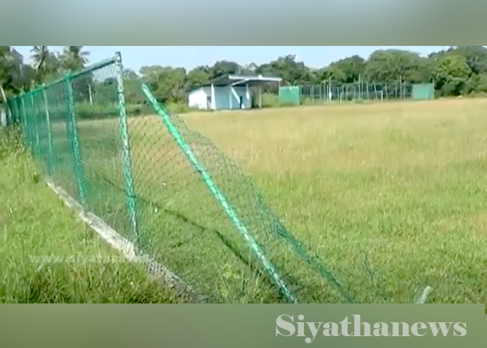 වන අලි වැලිකන්ද සුසිරිගම ක්‍රීඩාංගනයේ ආරක්ෂිත වැට කඩා දමයි (VIDEO)