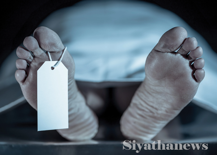 අනවසර විදුලි රැහැනක ගැටී පුද්ගලයෙකු ජීවිතක්ෂයට