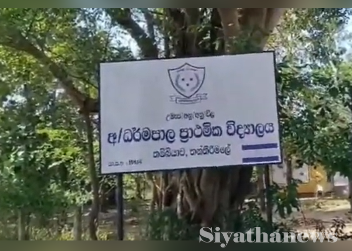 පහේ පන්තියේ හිස් වූ පොත්(VIDEO)