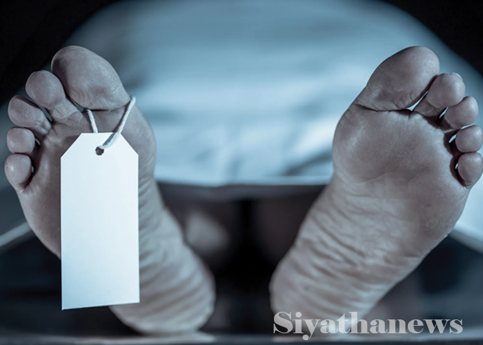 රිය අනතුරකින් පදිකයෙකු මරුට