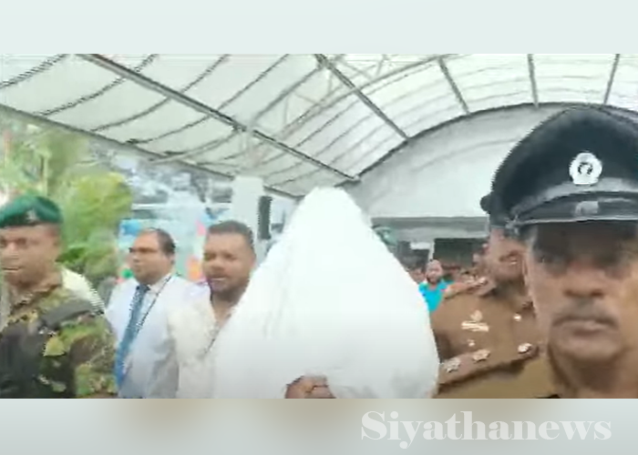 මන්නා රමේෂ් දිවයිනට රැගෙන එයි