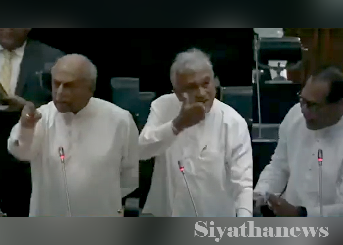 උණුසුම් වූ පාර්ලිමේන්තුව (VIDEO)