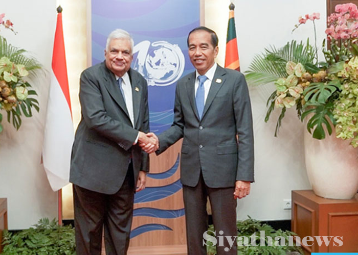 ජනපති රනිල් සහ ඉන්දුනීසියානු ජනපති අතර නිල හමුවක් (VIDEO)