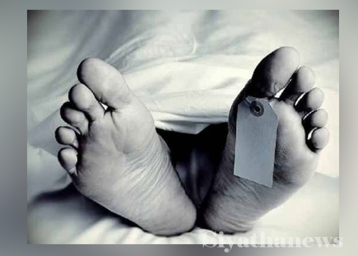 පදික මාරුවක අනතුරකින් කාන්තාවක් මරුට