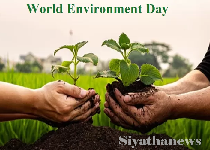 ජගත් පරිසර දිනය අදයි