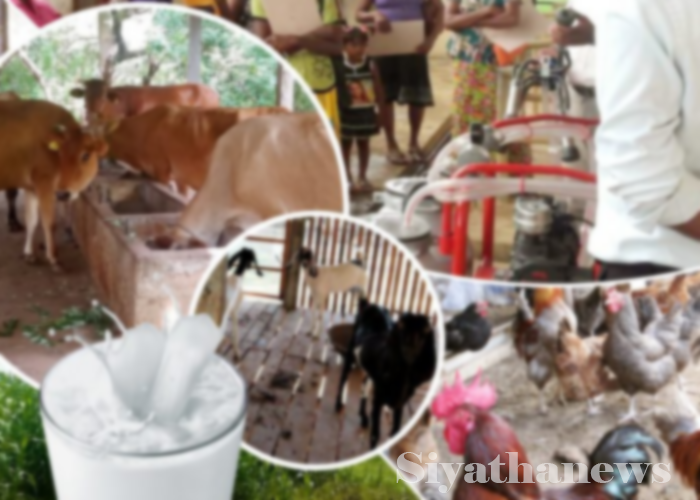 සත්ත්ව නිෂ්පාදන ආනයනය ගැන තීරණයක්