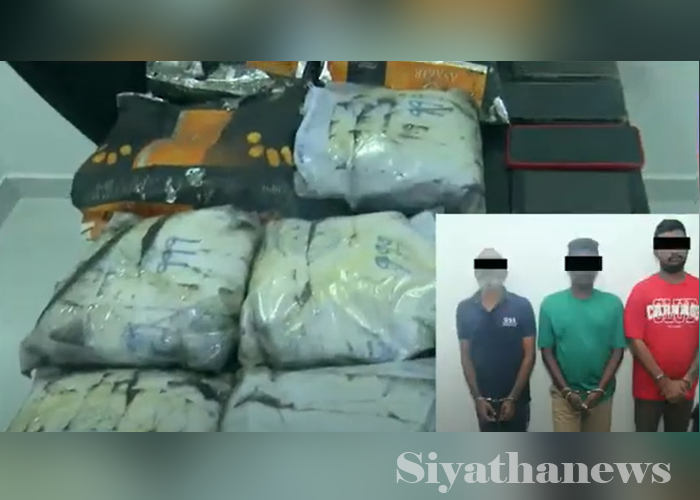 අහුංගල්ලේ ලොකු පැටීගේ ප්‍රධාන ගෝලයන් 3ක් STF අත්අඩංගුවට