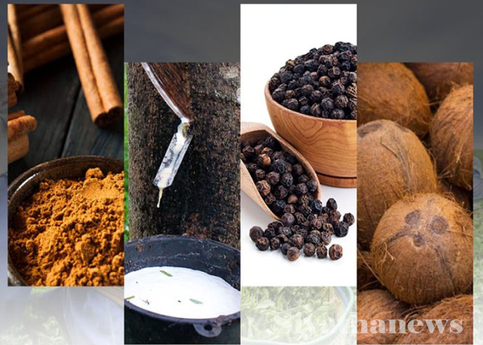 වැවිලි බෝග අපනයන ආදායම ඉහළට