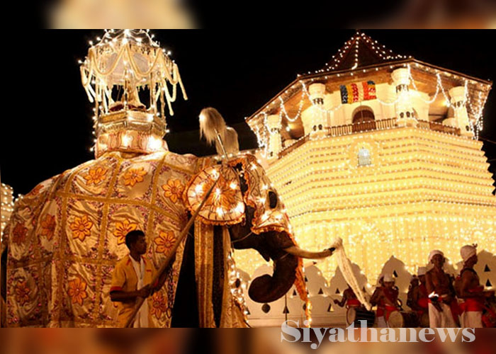 මහනුවර ඇසළ පෙරහර මංගල්‍යයේ දෙවන රන්දෝලි පෙරහර අද (VIDEO)