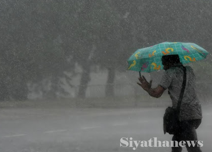 අද පළාත් කිහිපයකට තද වැසි