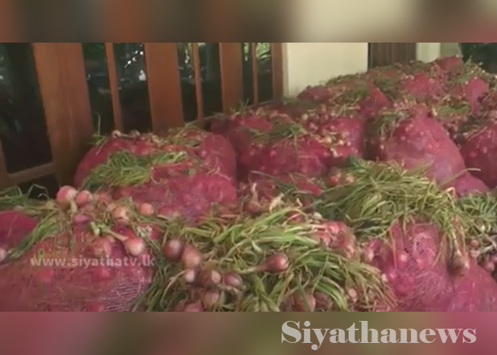 නිසි මිලක් නොමැතිවීම හේතුවෙන් ලොකු ලූණු ගොවීන් අපහසුතාවයට (VIDEO)