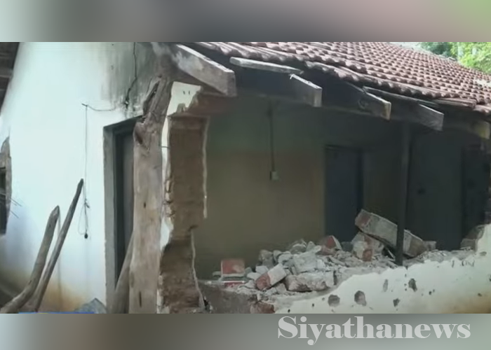 ප්‍රදේශ රැසක වන අලි කලබල (VIDEO)