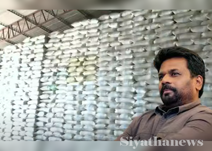 සහල් වාර්තාව අද ජනපතිට