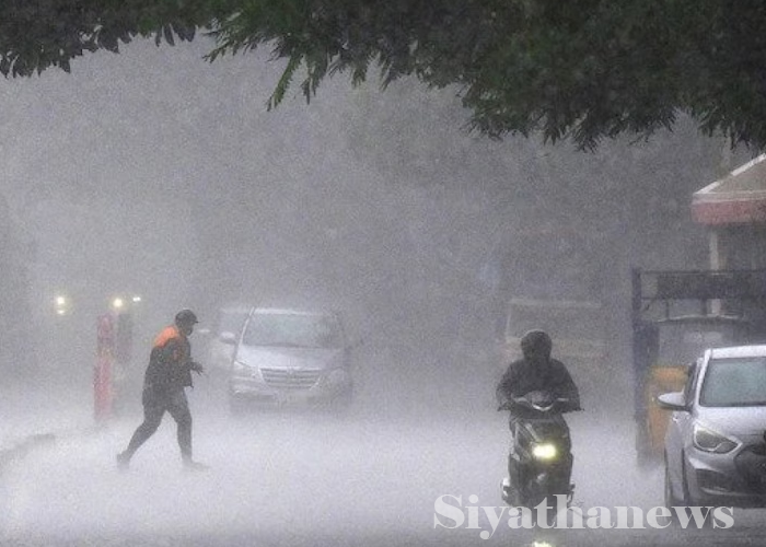 බෙංගාල බොක්ක ආශ්‍රිතව ගැඹුරු පීඩන අවපාතයක් (VIDEO)