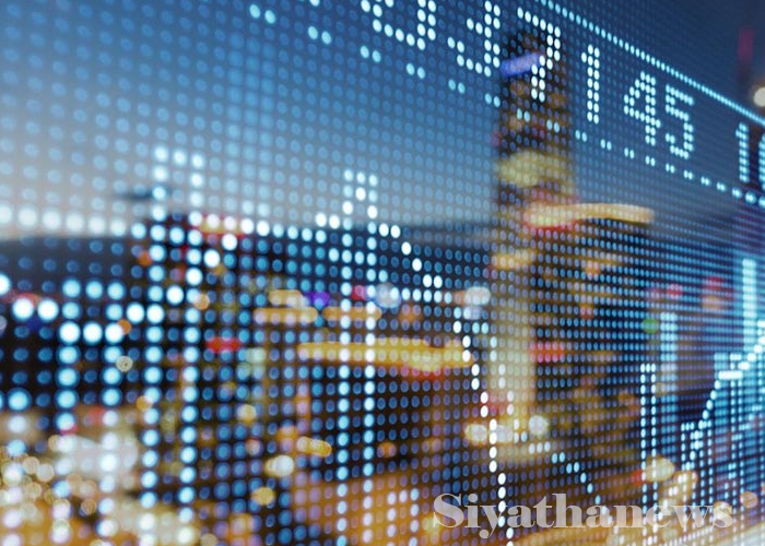 කොටස් වෙළෙදපොළේ කැපී පෙනෙන වර්ධනයක් (VIDEO)