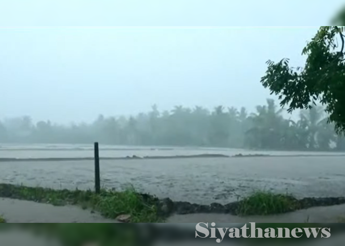 හානි වූ වී වගාවට සහ තවත් භෝග 05කට රුපියල් ලක්ෂයක වන්දියක් (VIDEO)