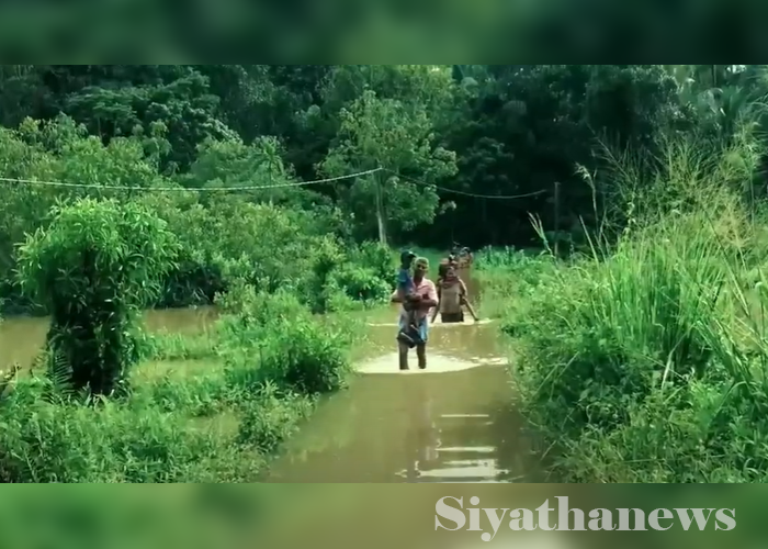 සුළු වැස්සකදී පවා යටවෙන අකුරැස්ස හික්ගොඩ මාර්ගයේ කිඹුල් තර්ජන (VIDEO)