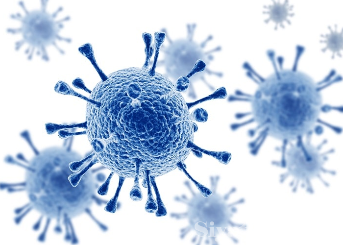 HIV ආසාධිත නව යෞවනයින් සංඛ්‍යාව ඉහළට (VIDEO)