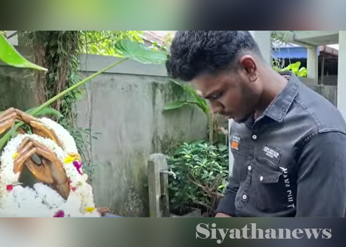 බේබි එයිටි වන්ටත් 20 යි (VIDEO)