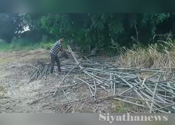 වසර 20ක් වගාකල භූමිය විනාශ කළ බවට චෝදනාවක් (VIDEO)