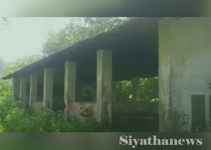 අතහැර දැමුණු පාසල (VIDEO)