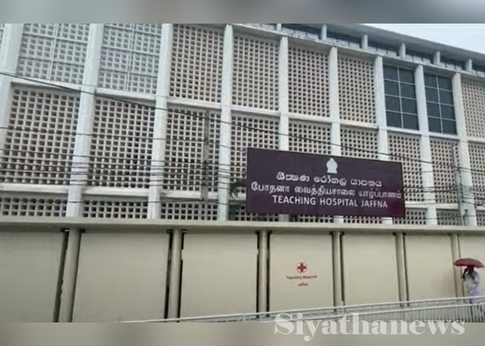 යාපනයේ උණෙන් මිය ගිය ගණන 07 දක්වා ඉහළට (VIDEO)