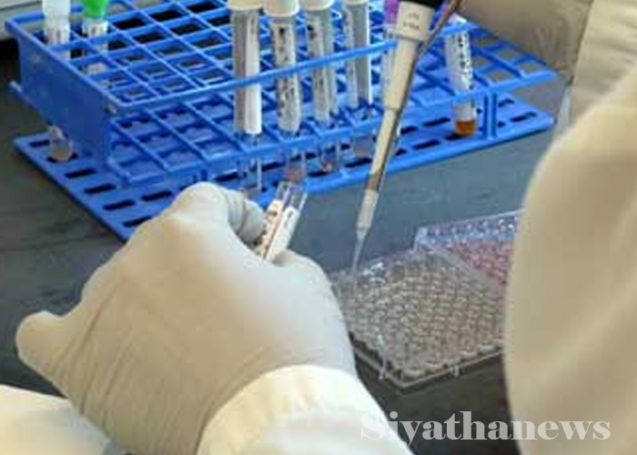 දින 11ට මී උණ රෝගීන් 99ක්