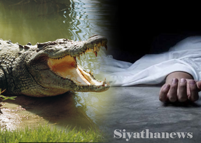 කිඹුලෙකු සපා කෑමෙන් කාන්තාවක් මරුට