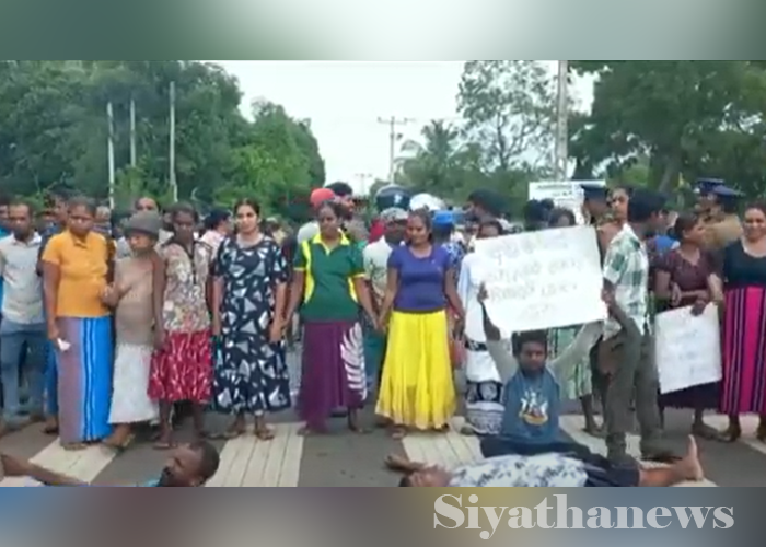 වන අලි ගැටලුවට විසඳුම් ඉල්ලා ප්‍රදේශ කිහිපයක ජනතාව විරෝධතාවයේ (VIDEO)