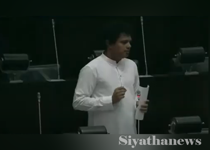 අලි මිනිස් ගැටුමට කඩිනමින් විසඳුමක් – පරිසර ඇමති කියයි (VIDEO)