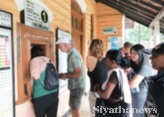 කොන්ද නමාගෙන ටිකට් ගන්න අපේ දුම්රිය සේවය (VIDEO)