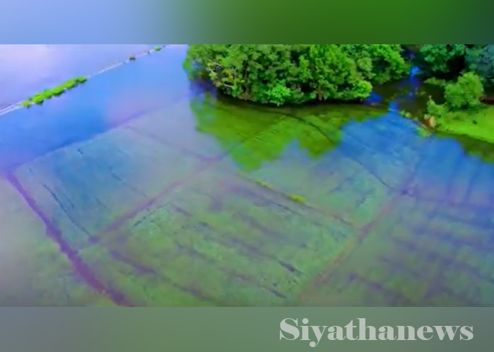 රුපියල් මිලියන 296ක වන්දි ගෙවා අවසන් (VIDEO)