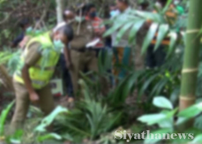 පුවක් ගසෙන් ඇදවැටී දරුවෙක් මරුට