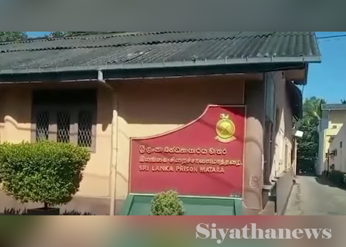 බෝ අත්ත කඩා වැටීමෙන් තවත් රැදවියෙක් මරුට (VIDEO)