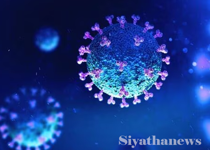 උණ, කැස්ස නම් බෙහෙත් ගන්න – සෞඛ්‍ය අංශ අවධාරණය කරයි (VIDEO)