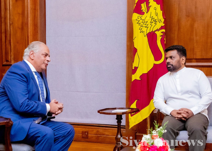 ඊජිප්තු තානාපති හා ජනපති අතර හමුවක්
