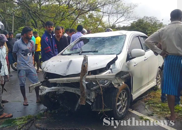 කාර් රථයක් යෝධ ඇළට වැටෙයි – රියදුරු හා කාන්තාවක් මරුට