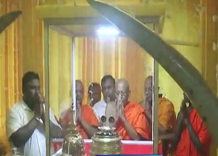 පොසොන් පොහෝයට සමගාමීව වැඩසටහන් රාශියක් දිවයින පුරා (VIDEO)